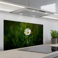 KitchenYeah Spatscherm 100x50 cm - Zelfklevende achterwand Wit - Madeliefje - Bloem - Gras - Keuken muurbeschermer - Spatwand fornuis
