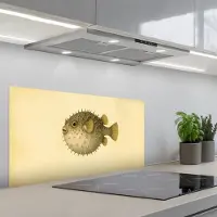 KitchenYeah Spatscherm 80x40 cm - Zelfklevende achterwand Stekels - Vis - Opgeblazen - Bruin - Keuken muurbeschermer - Spatwand fornuis