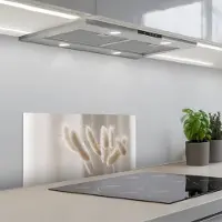 KitchenYeah Spatscherm 70x30 cm - Zelfklevende achterwand Pampasgras - Pluim - Wit - Keuken muurbeschermer - Spatwand fornuis