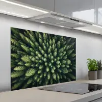 KitchenYeah Spatscherm 100x65 cm - Zelfklevende achterwand Bomen - Naaldwoud - Structuur - Keuken muurbeschermer - Spatwand fornuis