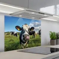 KitchenYeah Spatscherm 90x70 cm - Zelfklevende achterwand Koe - Tong - Weide - Keuken muurbeschermer - Spatwand fornuis
