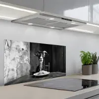 KitchenYeah Spatscherm 90x45 cm - Zelfklevende achterwand Geit - Bord - Spaghetti - Zwart Wit - Keuken muurbeschermer - Spatwand fornuis