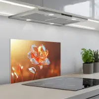 KitchenYeah Spatscherm 60x40 cm - Zelfklevende achterwand Glazen - Bloem - Zonlicht - Keuken muurbeschermer - Spatwand fornuis