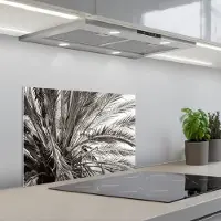 KitchenYeah Spatscherm 60x40 cm - Zelfklevende achterwand Palmboom - Tropisch - Zwart - Wit - Keuken muurbeschermer - Spatwand fornuis
