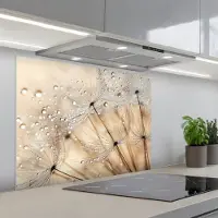 KitchenYeah Spatscherm 80x60 cm - Zelfklevende achterwand Paardenbloem - Abstract - Natuur - Beige - Keuken muurbeschermer - Spatwand fornuis