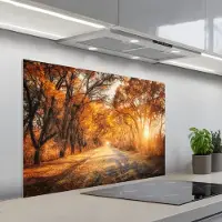KitchenYeah Spatscherm 100x65 cm - Zelfklevende achterwand Bos - Herfst - Bomen - Bospad - Natuur - Keuken muurbeschermer - Spatwand fornuis