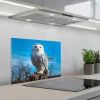 KitchenYeah Spatscherm 60x45 cm - Zelfklevende achterwand Uil - Natuur - Dier - Wit - Lucht - Boomstam - Keuken muurbeschermer - Spatwand fornuis