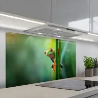 KitchenYeah Spatscherm 120x60 cm - Zelfklevende achterwand Groene kikker - Nieuwsgierig - Gras - Keuken muurbeschermer - Spatwand fornuis