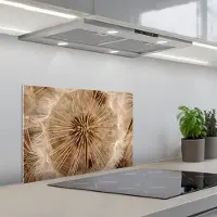 KitchenYeah Spatscherm 60x40 cm - Zelfklevende achterwand Paardenbloem - Bloemen - Natuur - Bruin - Keuken muurbeschermer - Spatwand fornuis