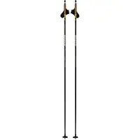 Swix Dynamic D3 Stokken