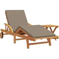 vidaXL Ligstoel 2 st Massief Acacia Hout Taupe