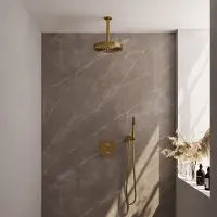Brauer stripe thermostatische inbouw regendouche 3-weg rond set 39 met 25 cm douchekop en plafondarm en staaf handdouche en doucheslang en