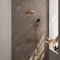 Brauer Stripe thermostatische inbouw regendouche met drukknoppen SET 35 met 25 cm douchekop en gebogen muurarm en 3-standen handdouche en doucheslang en geintegreerde glijstang goud geborsteld PVD