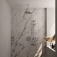 Brauer stripe thermostatische inbouw regendouche 3-weg rond set 45 met 25 cm douchekop en plafondarm en staaf handdouche en doucheslang en