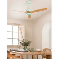 Create - Plafondventilator 40W silent Ø132 cm - Programmeerbare 1-4H - 6 Snelheden - Zomer/Winter functie - WIND CUP
