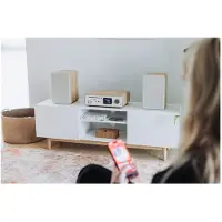 Pure Stereo Classic Wit/Eik