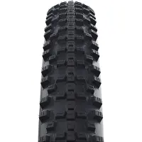 Schwalbe Buitenband smart sam 26 x 2.25 (57-559) zwart