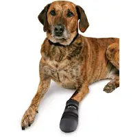 Trixie Walker Care Hondenschoen