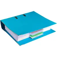 Exacompta 100 x Scheidingsstroken recht 240 x 105 mm assorti
