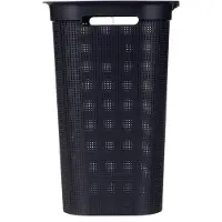 Rotho Brisen Wasmand 50 L