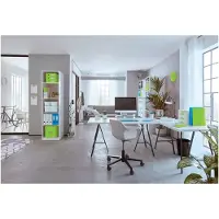 Leitz WOW ringmap, uit PP, ft A4, groen