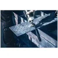 Bosch Reciprozaagblad S 1130 CF Endurance for Heavy Metal 25st - 2608657932