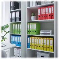 Esselte No.1 VIVIDA Kunststof A4 Ordner met Etikethouder - Voor 350 Vel - Rugbreedte van 50mm - Rood