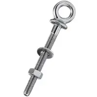 WICHARD Eye Bolt Zilver 10 x 100 mm