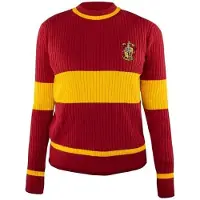PAN Vision Danmark A/S Harry Potter - Gryffindor Quidditch Sweater / Griffoendor Zwerkbal Trui-M