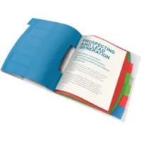 Esselte 624029 sorteermap Blauw | Meerkleurig Polyvinyl chloride (PVC) A4