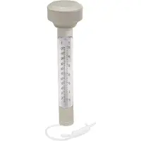 Bestway 58072 Pool Thermometer 5 Cm Transparant