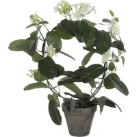 Mica Decorations Kunstplant - Stephanotis bruidsbloem - wit - H50 x D40 cm