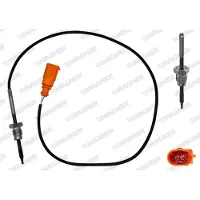 Wagner Sensor, uitlaatgastemperatuur ETP00118