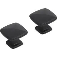 Differnz meubelknop vierkant 25 mm mat zwart 2 stuks