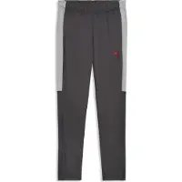Puma LIGA Training Pant