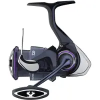 Daiwa Prorex V 25 Lt Spinning Reel Zilver 2500XH