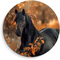 KitchenArt - Autumn Majesty - Muurcirkel Binnen - ø 60 cm - Wandcirkel - Mét Ophangsysteem - Wanddecoratie - Muurdecoratie