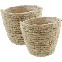 Van der leeden Plantenmand - 2x - rotan - maisblad - D22 x H18 cm - ronde plantenpot - bloemen mand - handgevlochten