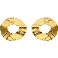 Faina Oorbellen goud