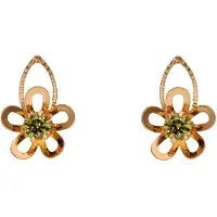 NAEMI Oorbellen goud / groen