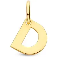 The Jewelry Collection Geelgouden Hanger letter D 4023455