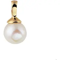 The Jewelry Collection Geelgouden Hanger parel 4020021