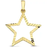 New Bling - 9NBG-0919 - 14K geelgouden Hanger – Ster Dia Cut – Dames Hanger