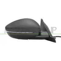 PRASCO FT0217343 Buitenspiegel