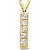 New Bling - 9NBG-0930 - 14K geelgouden hanger – met 5 zirkonia – elegant design