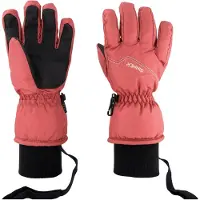 Sinner Phoenix Handschoenen