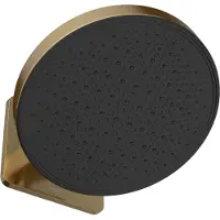 Hotbath Hoofddouche cobber 1-f opbouw, 300mm kantelbare wandarm geborsteld goud
