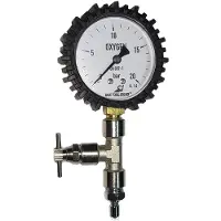 Metalsub Medium Pressure Adjustment With Purge 0-25 Bar Pressure Gauge Goud