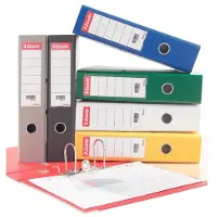 Esselte rugetiketten 30 x 158 mm insteek smal wit (100 stuks)