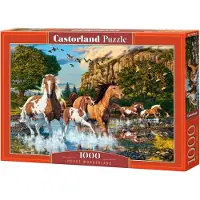 Castorland C-104789-2, 1000 stuks, Dieren, Geschikt voor kinderen vanaf 9 jaar